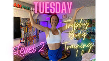 Load image into Gallery viewer, The Trophy Body Training 1.0 Level 2 Program - Masterfully Crafted Full Body Training